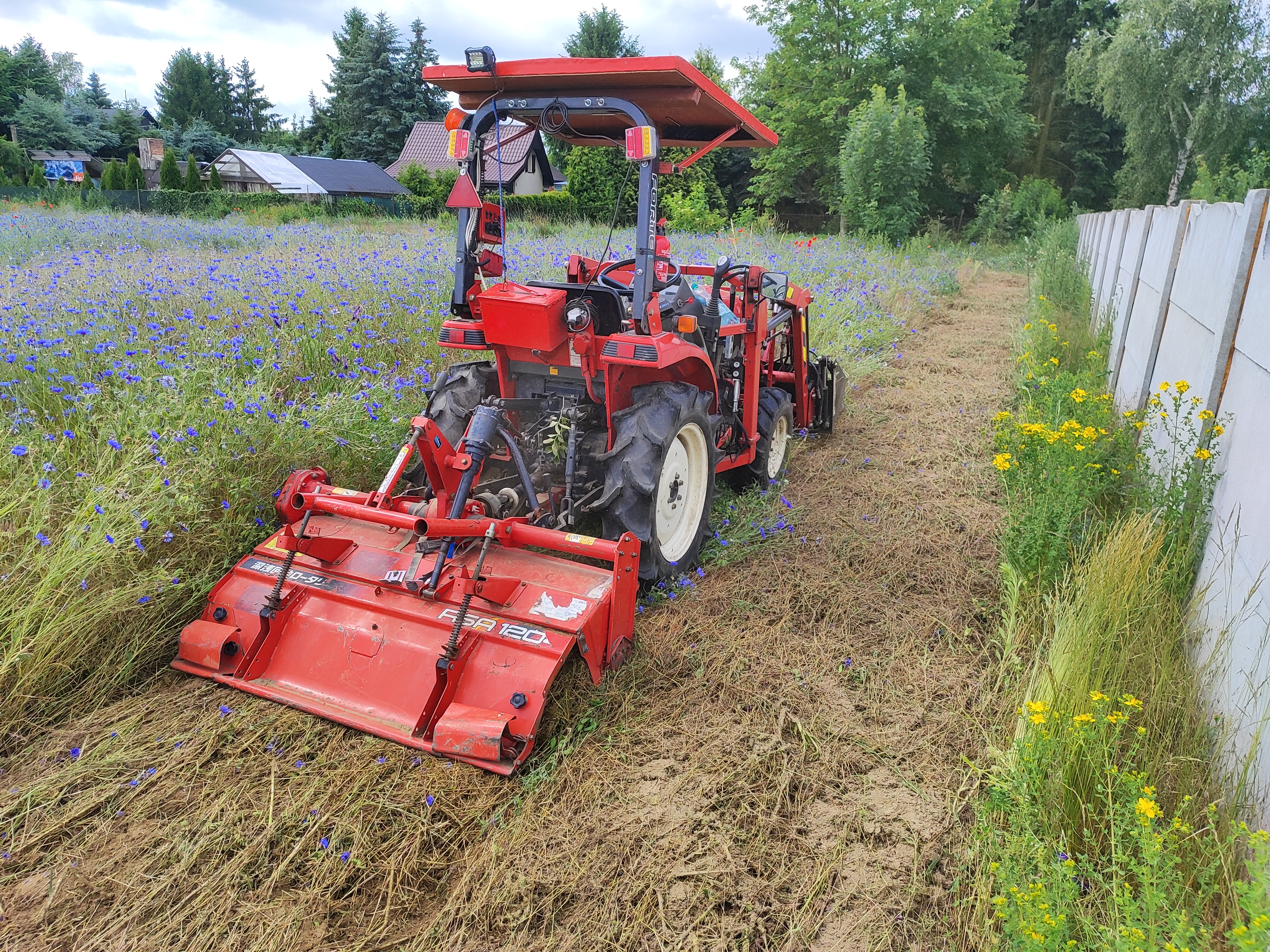 Profesjonalne prace arborystyczne - czerwiec 2025