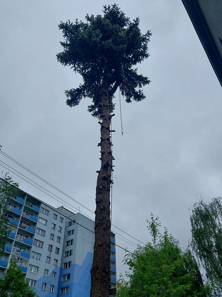 Realizacja projektu - maj 2024